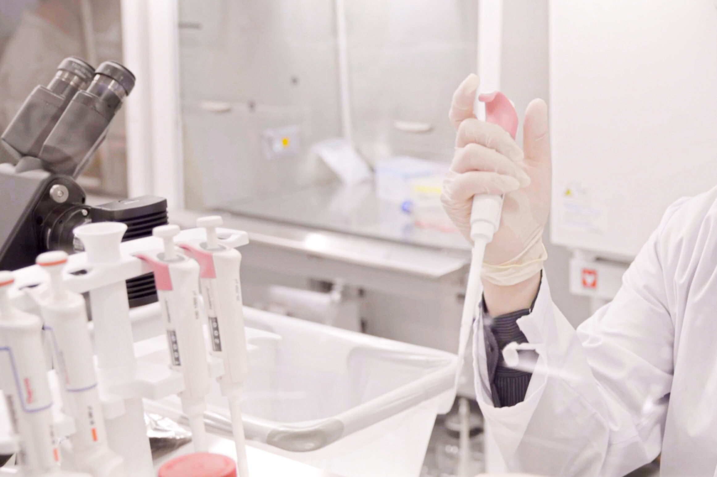 ヒト幹細胞とは？その役割と美容への応用